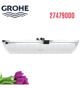 Bát Sen Tắm Gắn Trần Đức Grohe 27479000