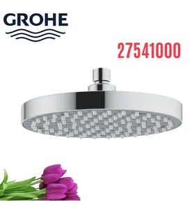 Bát Sen Tắm Gắn Trần Đức Grohe 27541000