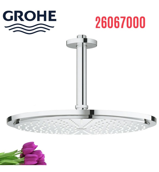 Bát Sen Tắm Gắn Trần Đức Grohe 26067000