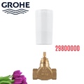Van Âm Nhập Khẩu Đức Grohe 29800000