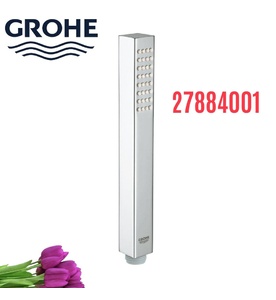 Tay Sen Tắm Nhập Khẩu Đức Grohe 27884001
