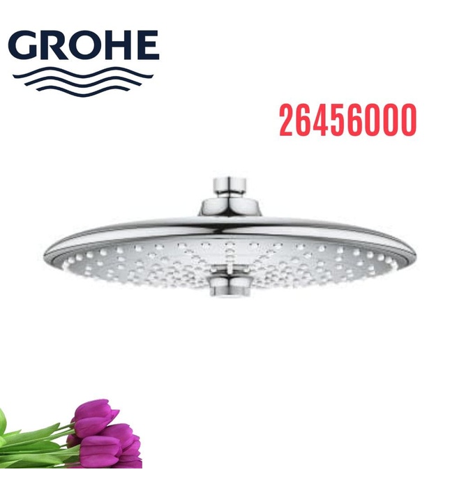 Bát Sen Tắm Gắn Trần Đức Grohe 26456000