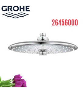 Bát Sen Tắm Gắn Trần Đức Grohe 26456000