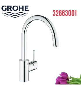 Vòi Chậu Rửa Bát Cần Cứng Đức Grohe 32663001