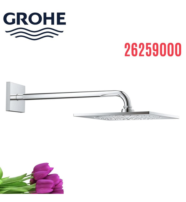 Bát Sen gắn tường kèm thanh nối Đức Grohe 26259000