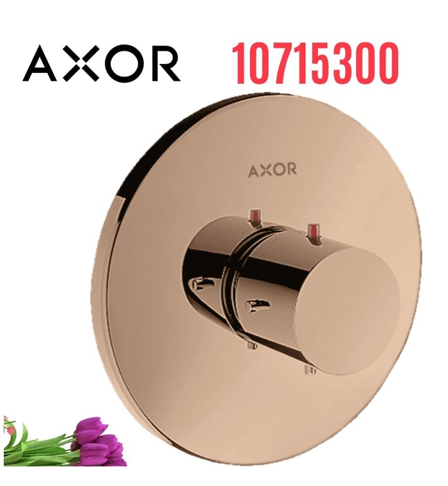 Mặt Nạ Sen Âm Tường Nhiệt Độ Đức Axor Starck. 10715300