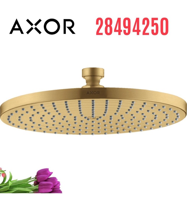 Bát Sen Tròn Tắm Đứng Nhập Khẩu Đức Axor Starck. 28494250