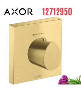 Mặt Nạ Sen Tắm Nhiệt Độ Âm Tường Đức Axor Starck Organic 12712950