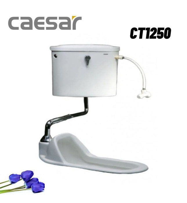 Bồn Cầu Xổm Và Két Nước Treo Tường Caesar CT1250