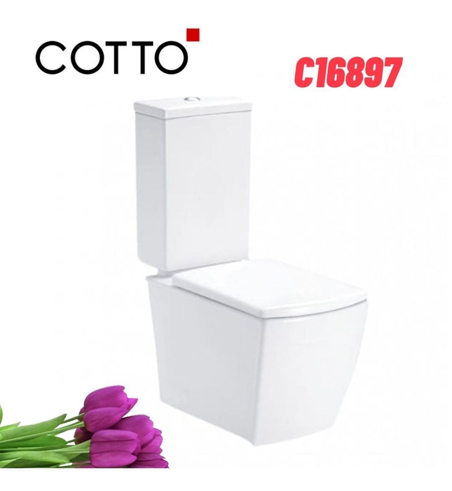 Bàn Cầu 2 Khối COTTO C16897