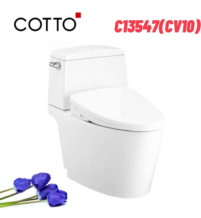 Bàn Cầu 2 Khối Nắp Điện Tử COTTO C13547(CV10)