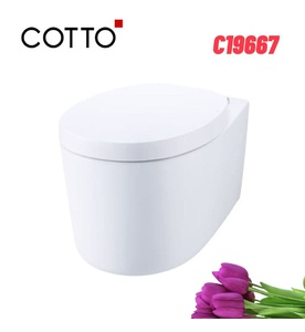 Bàn cầu treo tường nắp êm COTTO C19667