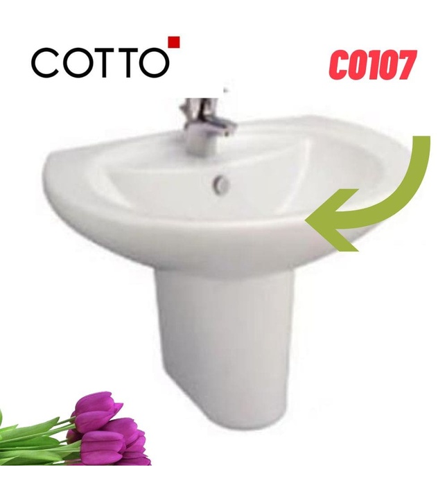Chậu Rửa Lavabo Treo Tường COTTO C0107