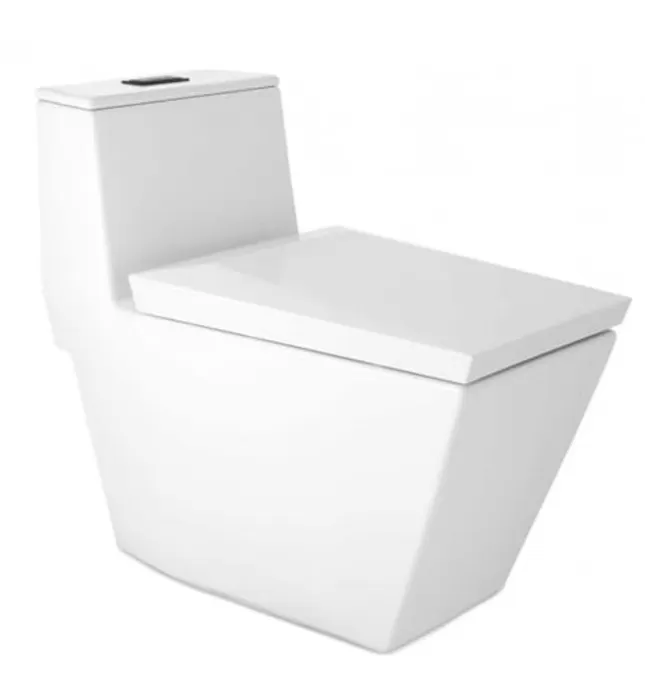 Bàn Cầu 1 Khối COTTO C102807