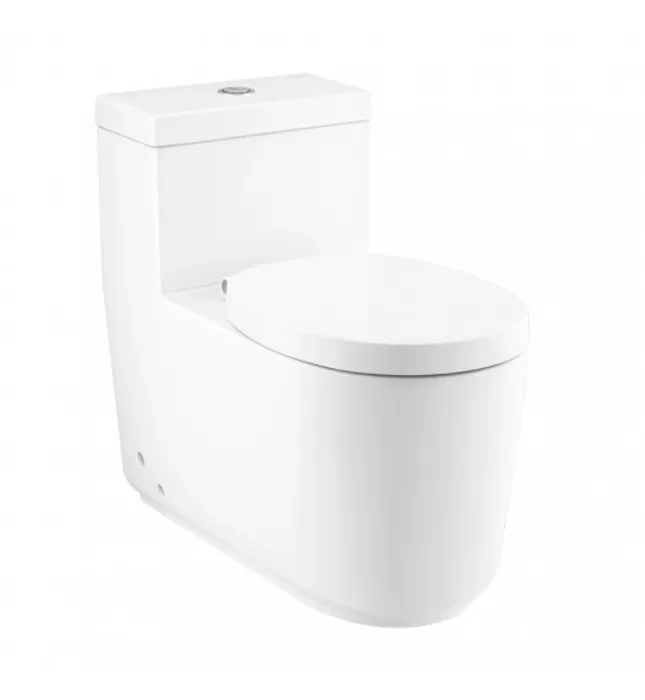 Bàn Cầu 1 Khối Nắp Ngồi Rơi Êm COTTO C102907