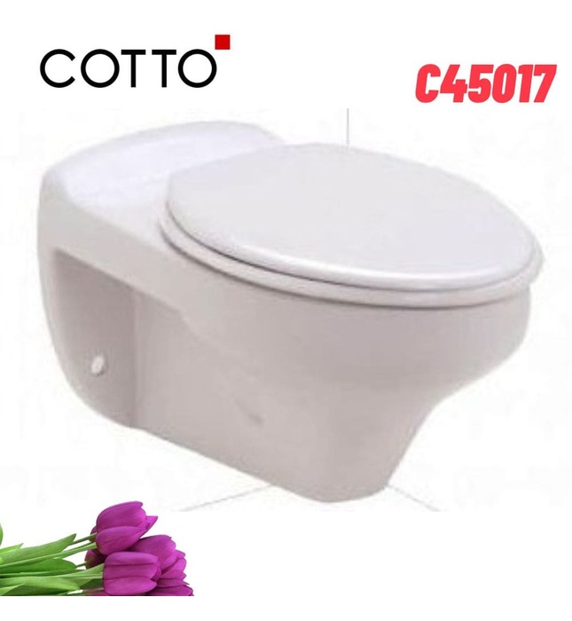 Bàn cầu treo tường nắp êm COTTO C45017