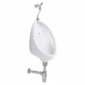 Bồn Tiểu Nam Treo Tường COTTO C305