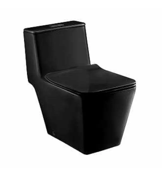 Bàn Cầu 1 Khối Màu Đen Nắp Êm COTTO C1032 MBK