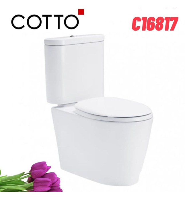 Bàn Cầu 2 Khối Nắp Ngồi Êm COTTO C16817