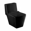 Bàn Cầu 1 Khối Màu Đen Nắp Êm COTTO C1032 MBK