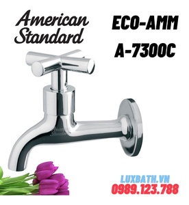 Vòi tường 1 đường lạnh American Standard ECO-AMM A-7300C