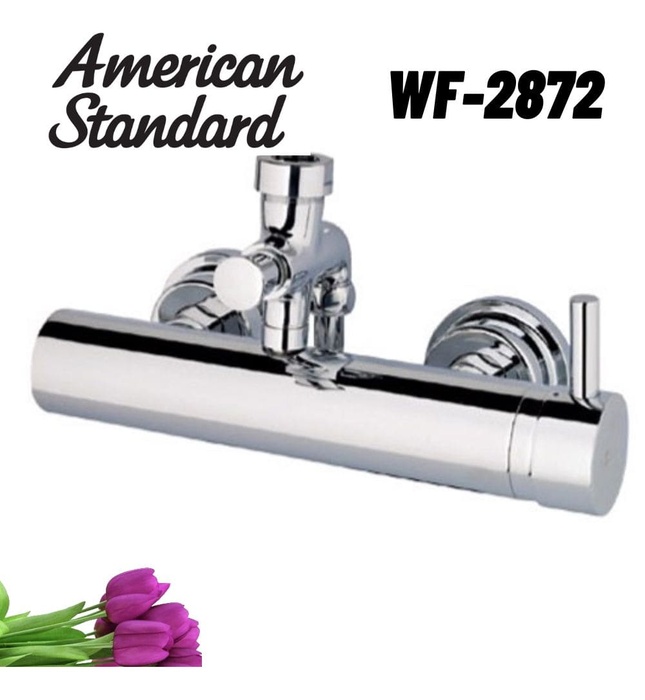 Củ sen American Standard WF-2872