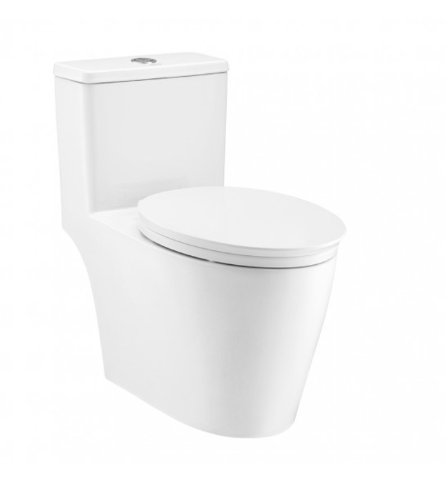 Bàn Cầu 1 Khối Nắp Êm COTTO C110507 Harmony Xả Nhấn