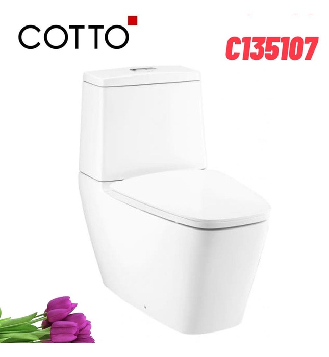 Bàn Cầu 2 Khối Nắp Hơi Xả Nhấn Đôi COTTO C135107