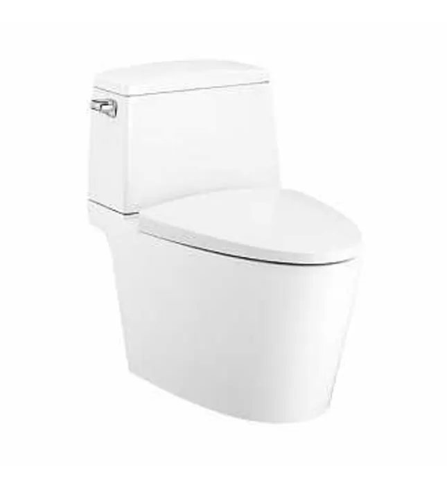 Bàn Cầu 2 Khối Xả Gạt Nắp Rơi Êm COTTO C13537