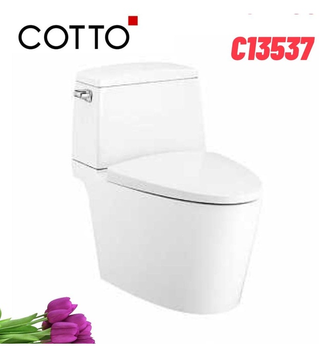 Bàn Cầu 2 Khối Xả Gạt Nắp Rơi Êm COTTO C13537