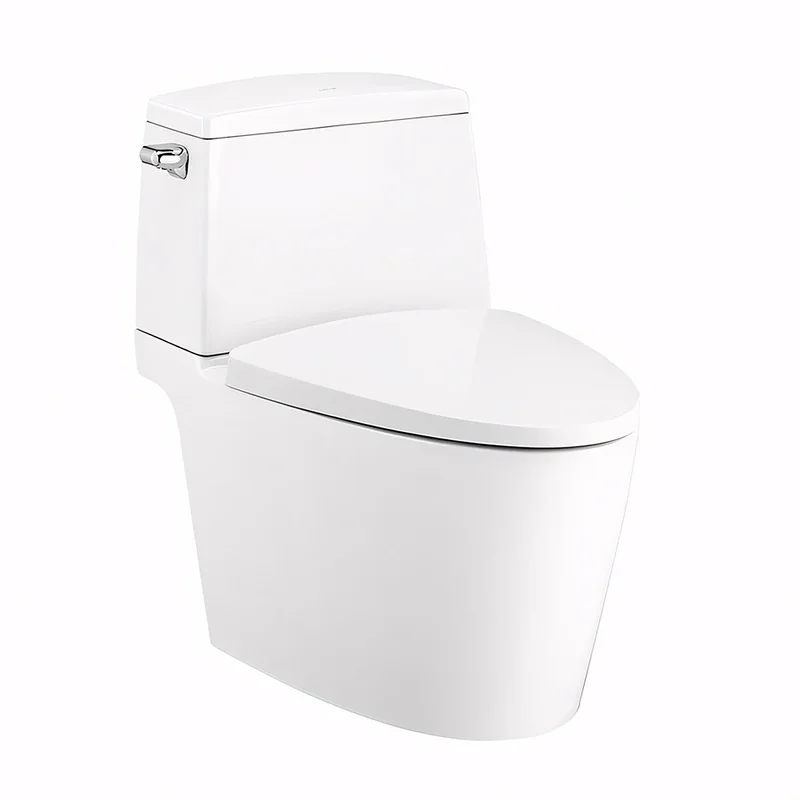 Bàn Cầu 2 Khối Xả Gạt Nắp Rơi Êm COTTO C13537