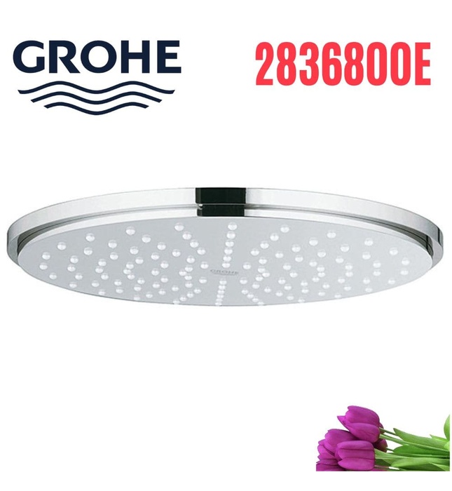 Bát sen nóng lạnh gắn tường Grohe 2836800E