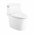 Bàn Cầu 2 Khối Xả Gạt Nắp Rơi Êm COTTO C13537