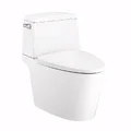 Bàn Cầu 2 Khối Xả Gạt Nắp Rơi Êm COTTO C13537