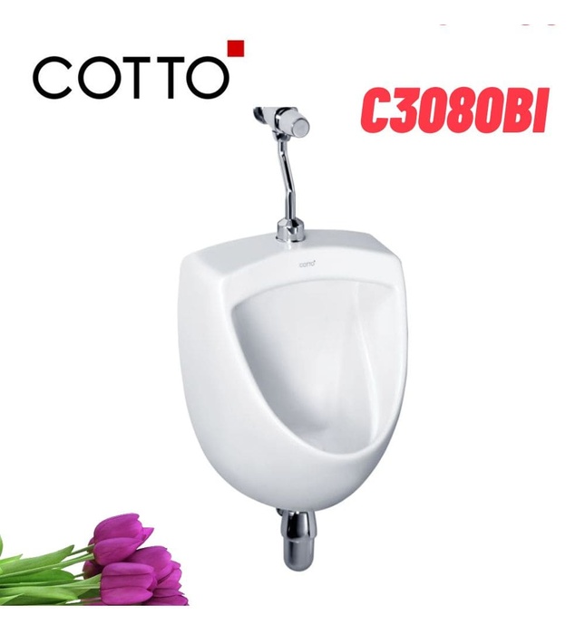 Bồn Tiểu Nam Treo Tường COTTO C3080BI