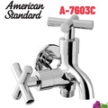 Vòi Sen tắm lạnh American Standard ECO-AMM A-7603C