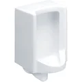 Bồn Tiểu Nam Treo Tường COTTO C313BI
