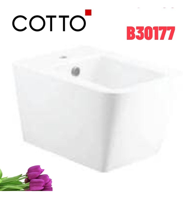 Chậu Rửa Lavabo Treo Tường COTTO B30177