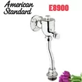 Van xả tiểu nam American Standard E8900