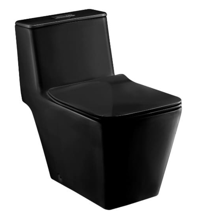 Bàn Cầu 1 Khối COTTO C10323 MBK