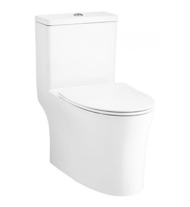 Bàn Cầu 1 Khối COTTO C105617