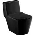 Bàn Cầu 1 Khối COTTO C10323 MBK