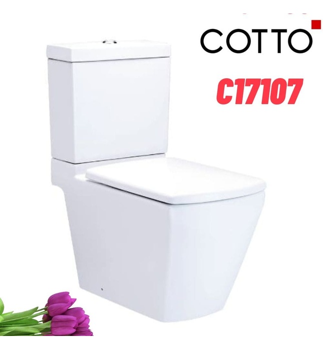 Bàn Cầu 2 Khối Xả Nhấn COTTO C17107