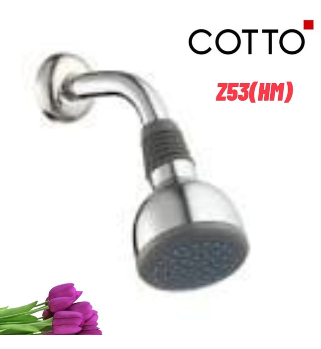 Bát sen tắm gắn tường COTTO Z53(HM)