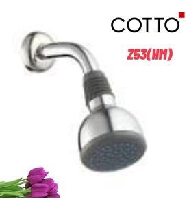 Bát sen tắm gắn tường COTTO Z53(HM)
