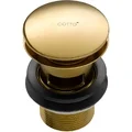 Rốn Chậu lavabo nhấn COTTO CT677#GR(HM)