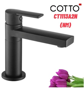 Vòi rửa mặt lavabo lạnh COTTO CT1113A2N(HM)
