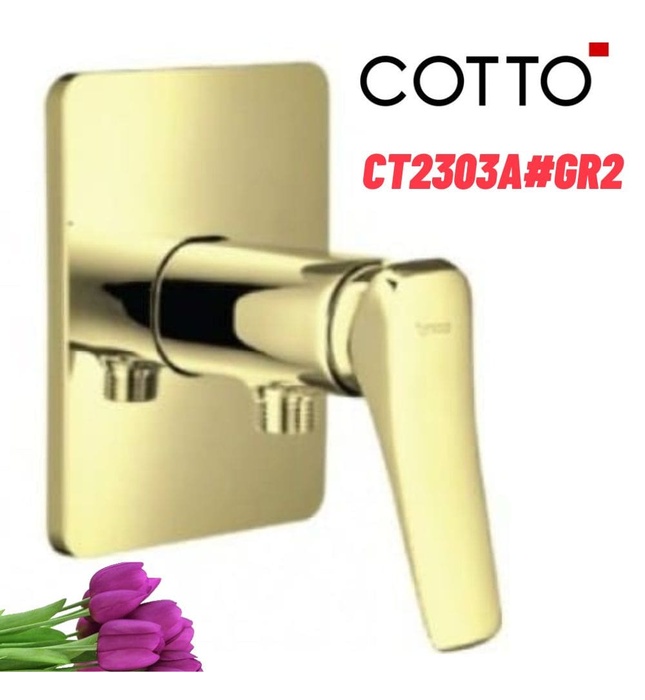 Mặt nạ sen tắm âm tường COTTO CT2303A#GR2