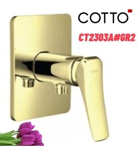 Mặt nạ sen tắm âm tường COTTO CT2303A#GR2