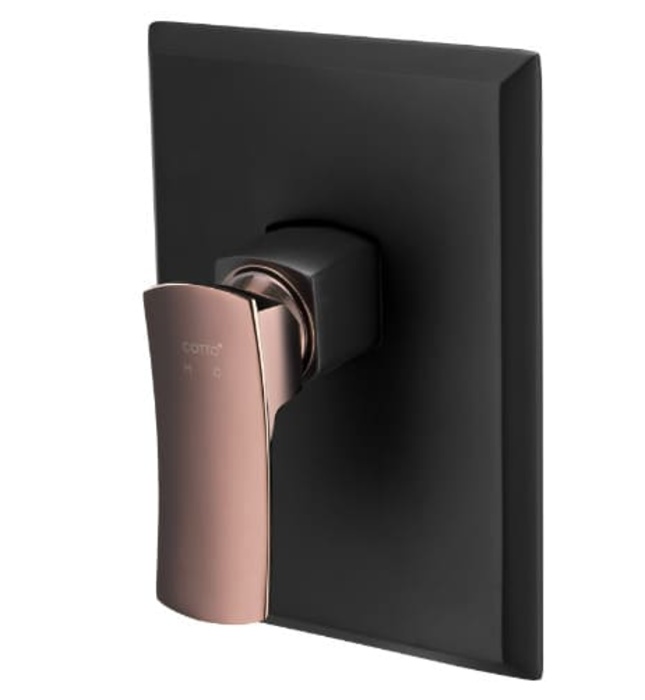 Mặt nạ sen tắm âm tường COTTO CT1223A#BLBR